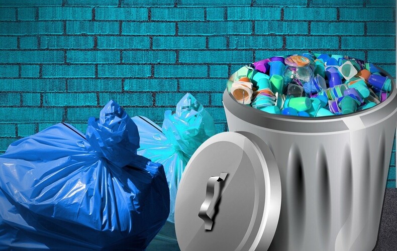 Collecte du bac bleu