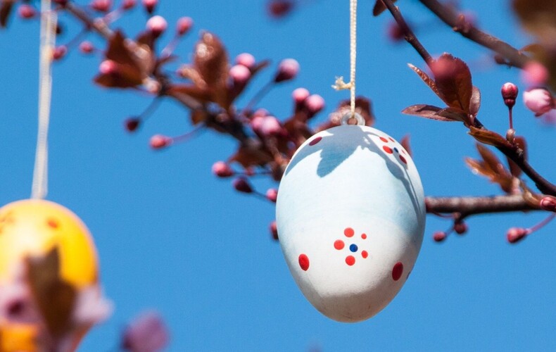 Chasse aux cocos en plein air